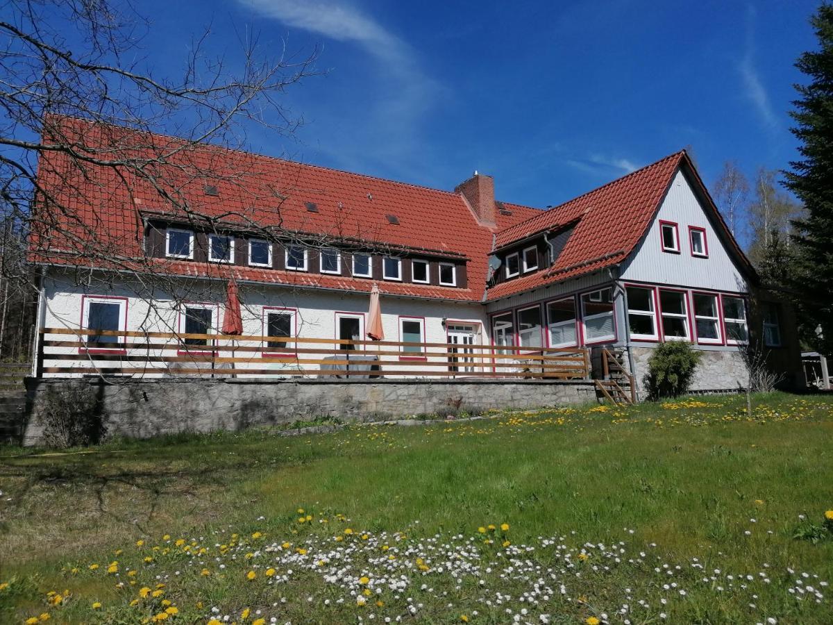 Villa Viriditas Elbingerode  Eksteriør billede